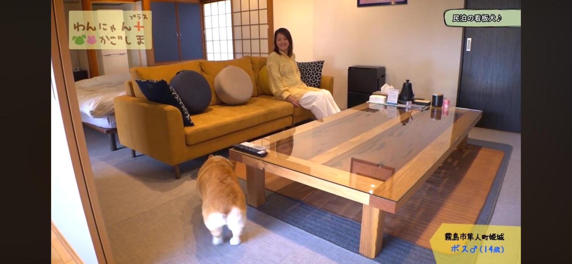 Boss'shouse 犬ok 1組限定の宿 * Kirishima